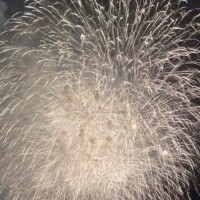 ここみ