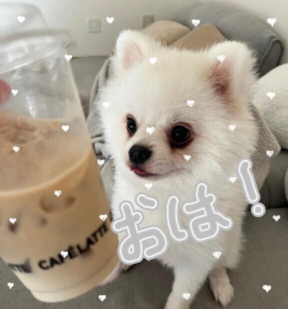 おは