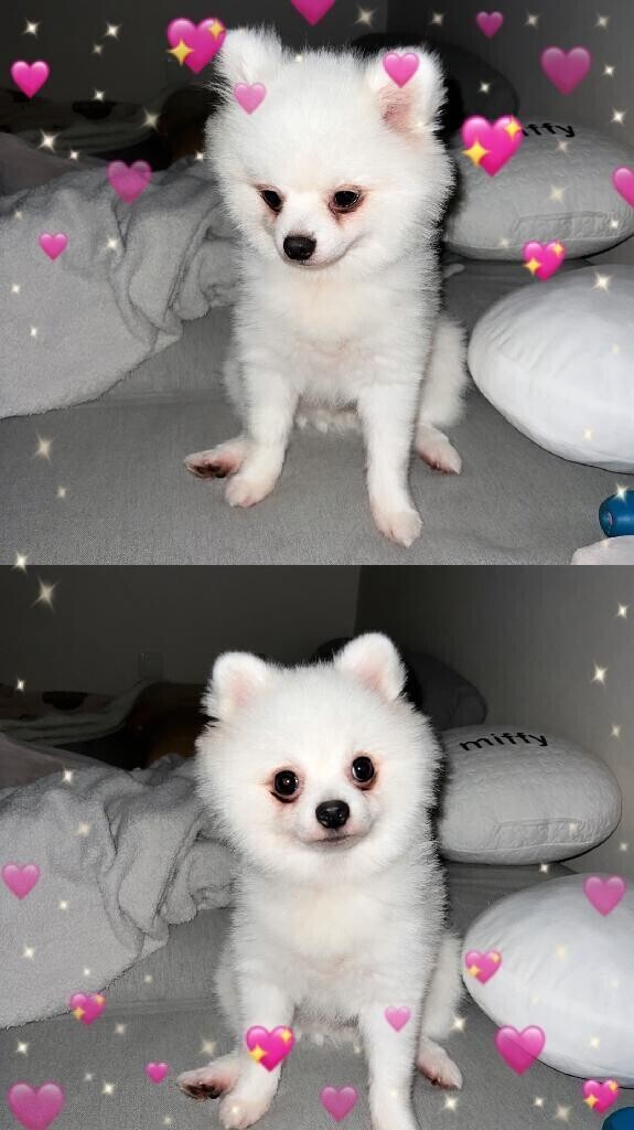 ♥♥