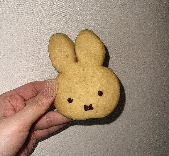 夜突入