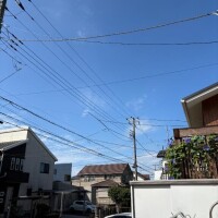 つぐみ