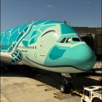 つぐみ