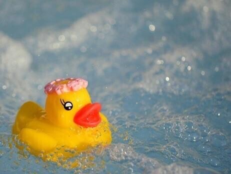 おはようございます