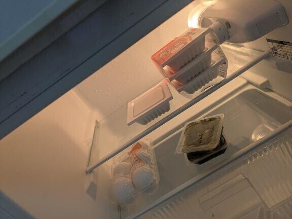 おはようございます