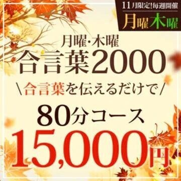 11月27日は大盤振る舞い