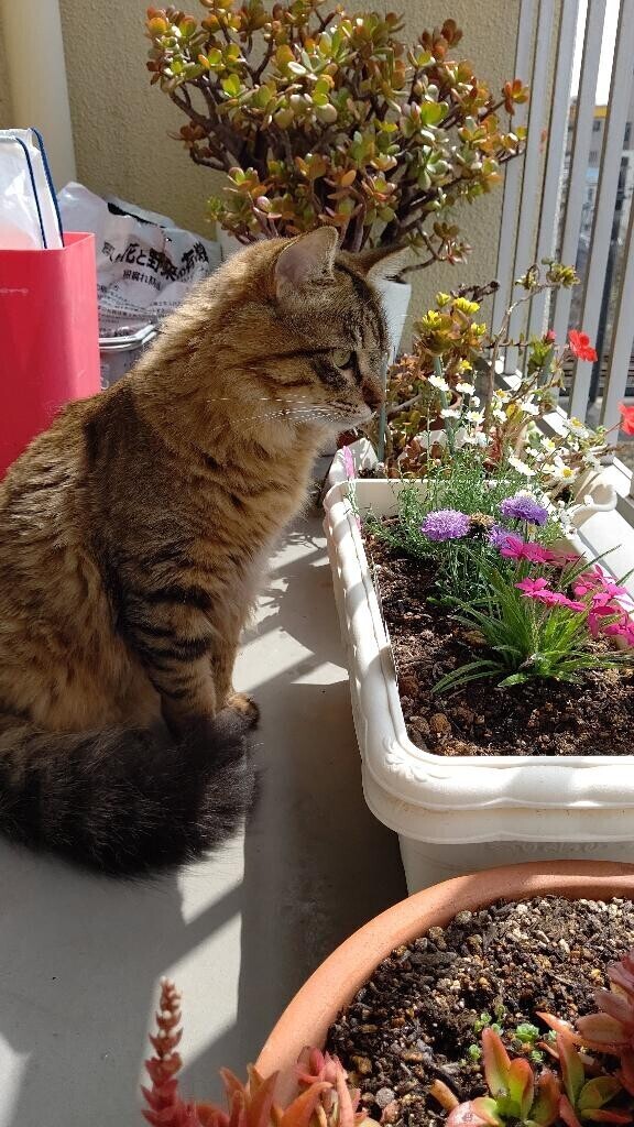 今日から出勤します♪