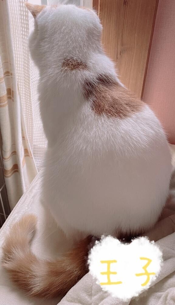 帰宅なうでございます！。。。