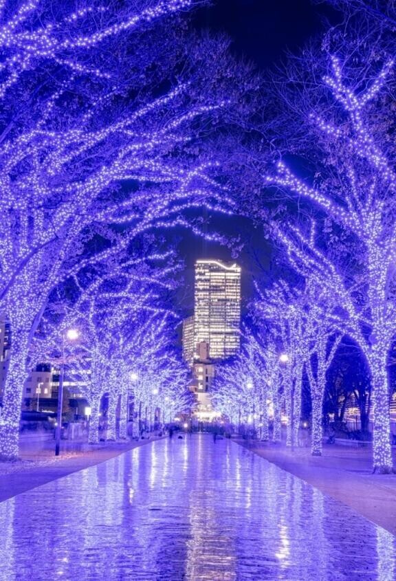 ありがとうです