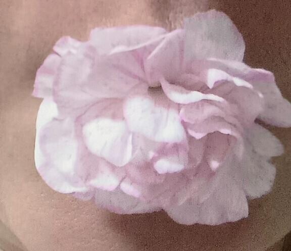 こんにちははじめまして