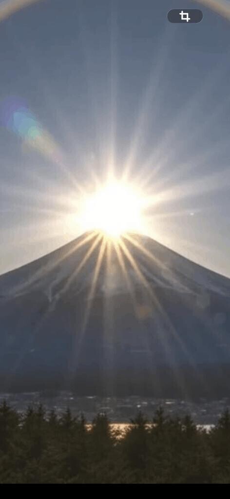 お天気良いですね