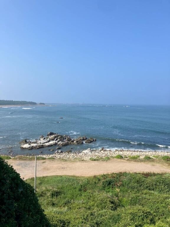 お久し振りです