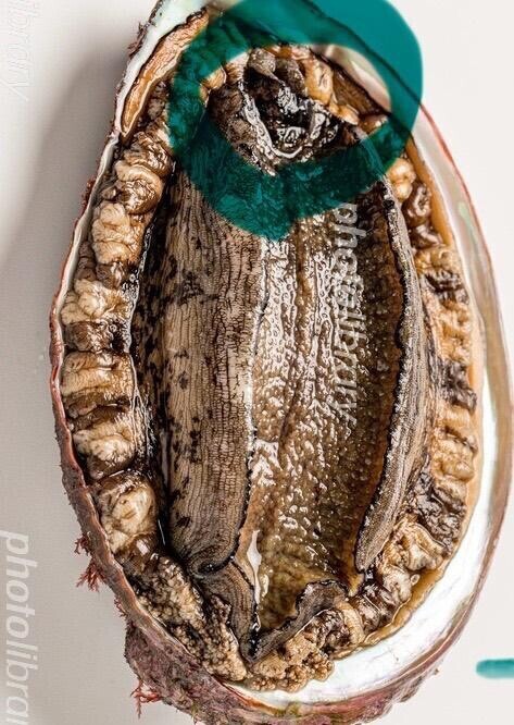 います。イベントもババアにも使えるよ