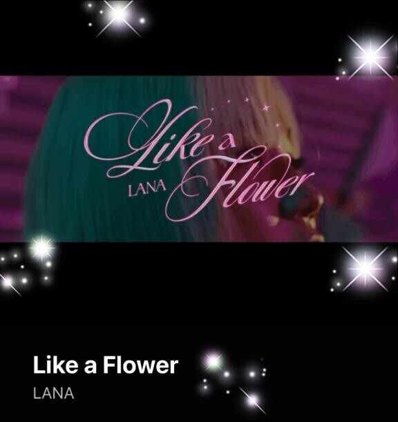 今日の(*´∇｀*)♪