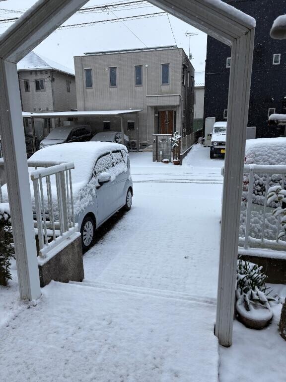 朝起きてビックリゆき