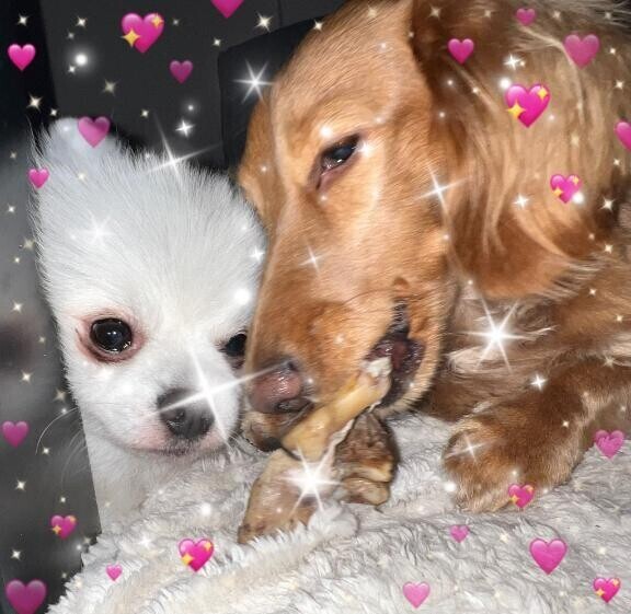 今日もよろしくお願いします