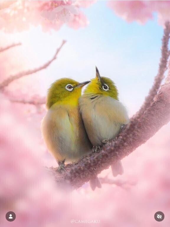 出勤致しました