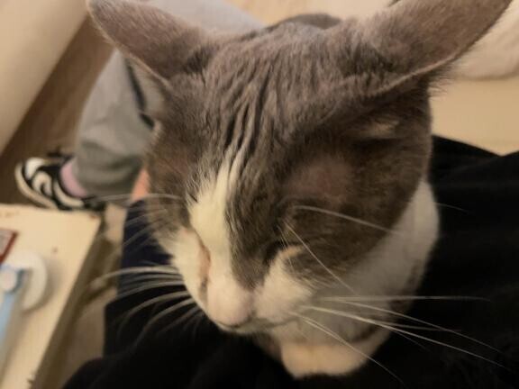 明日も午前10:00から出勤してます