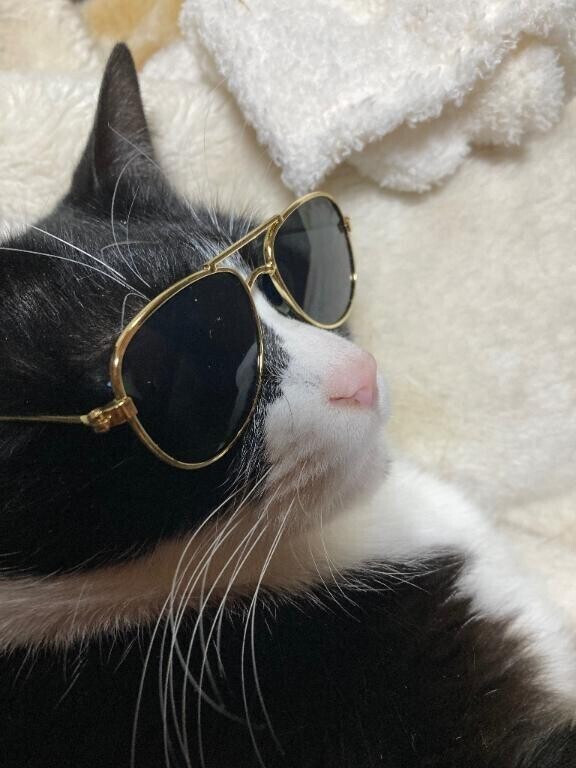 受付終了閉店ガラガラ🪟魔女残念珍宝