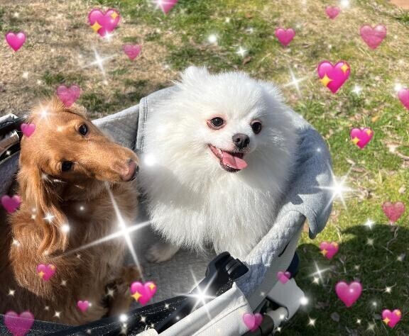 おはよん（シフト変更）