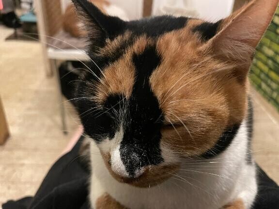 今日イベントみたいだね