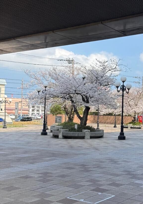 神栖とうちゃーく