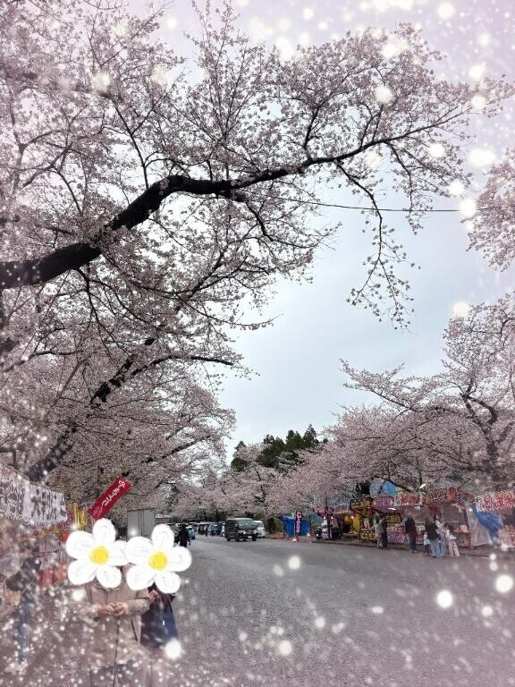 春きましたね