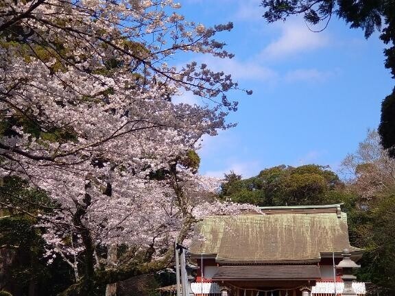 逢えて良かった