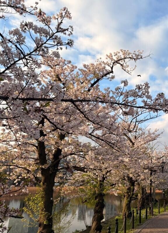 てくてくてく‍