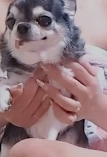 はじめまして