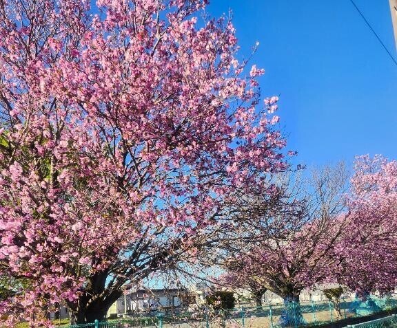 4月後半シフト