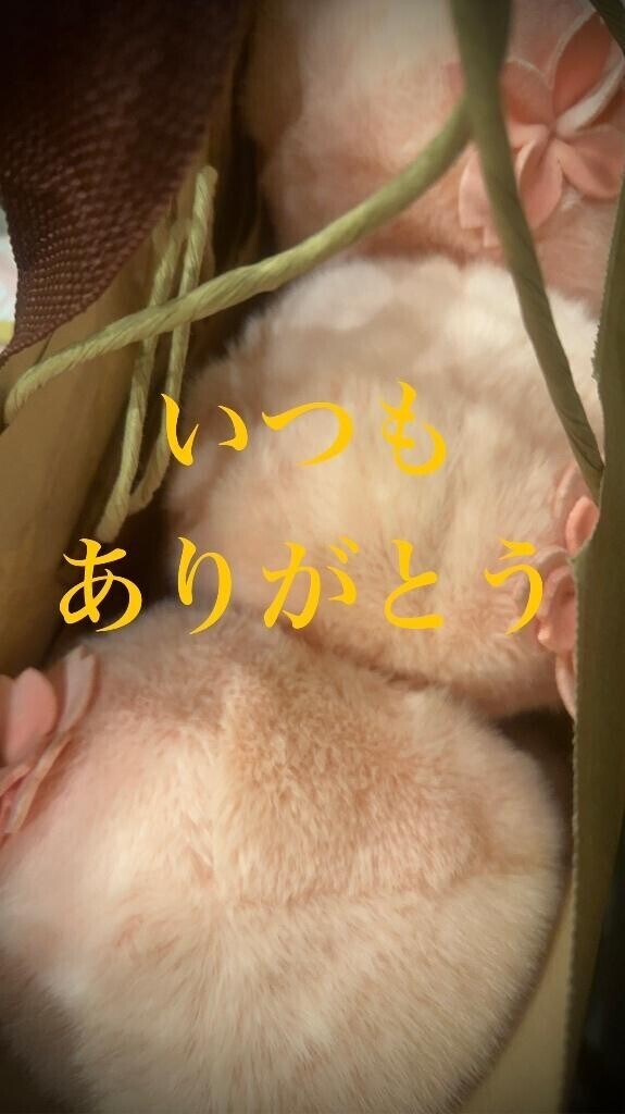 もふもふ