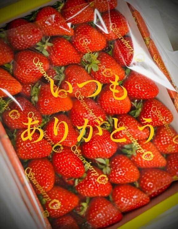 最後の
