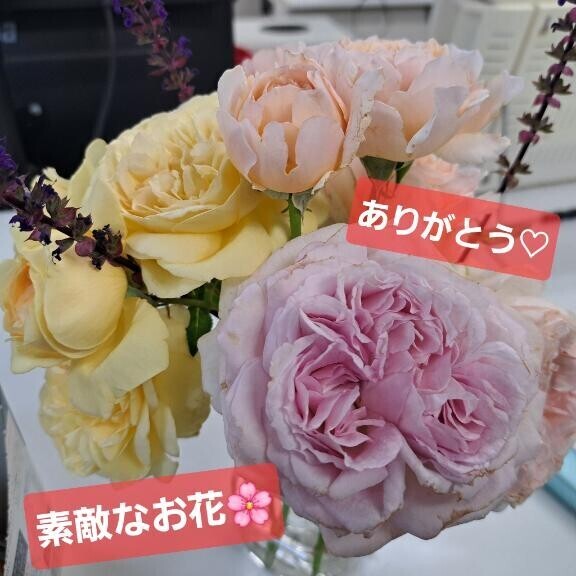 イベント☆ミ