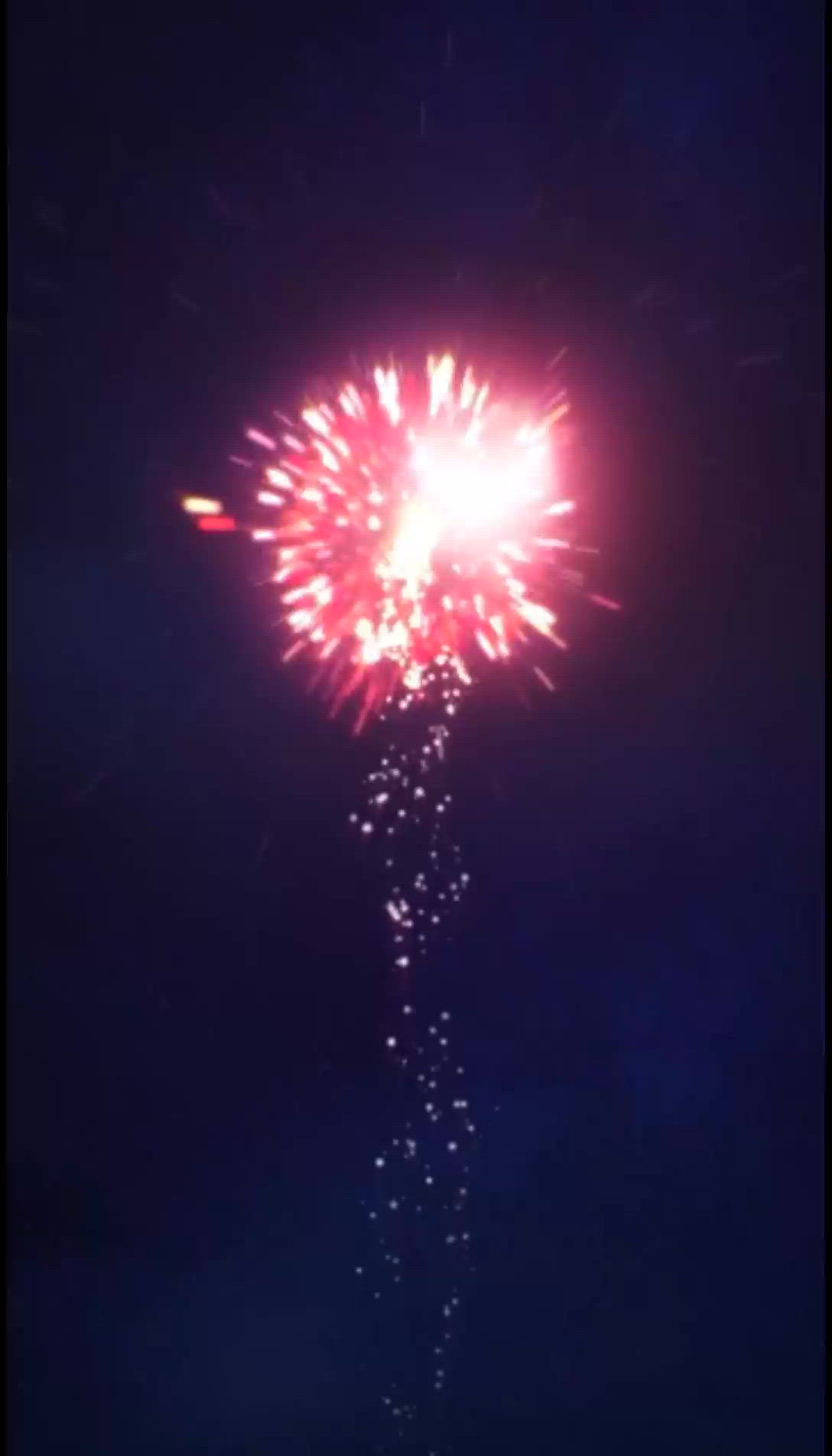 【動画】神花祭開催