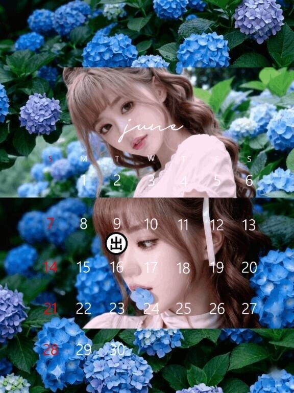 6/9㈫
