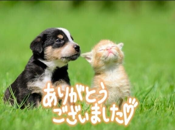 ありがとうございました