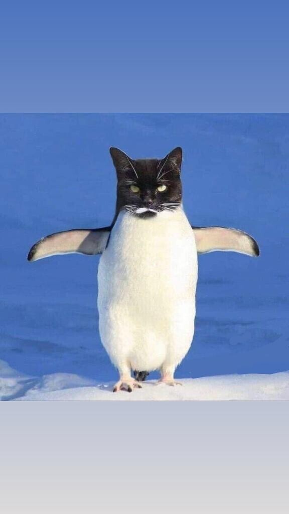 次回出勤日決まりました??