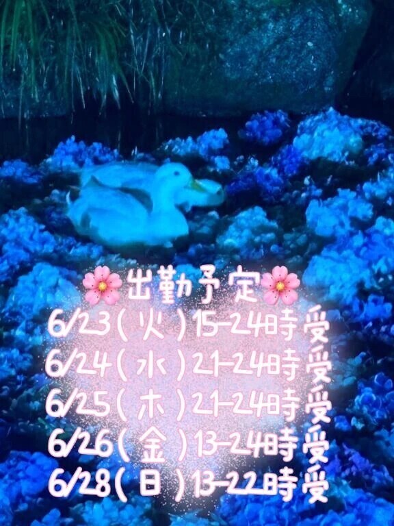 お知らせー🩷