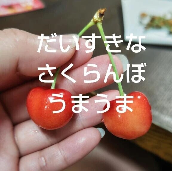 お知らせです✨