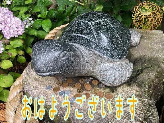 風が気持ちいい朝ですね！