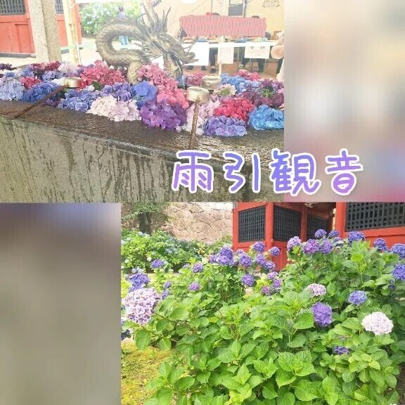 ここなの休日のVlog