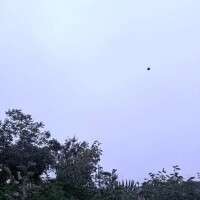 しほ【業界未経験】