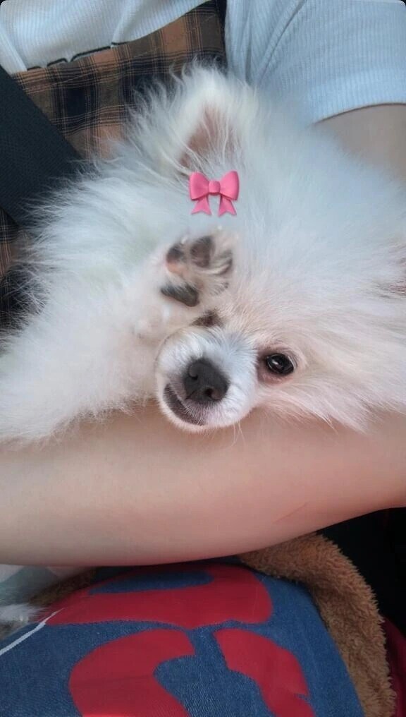 お休みです