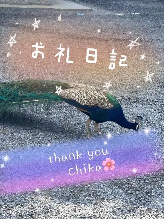 お礼