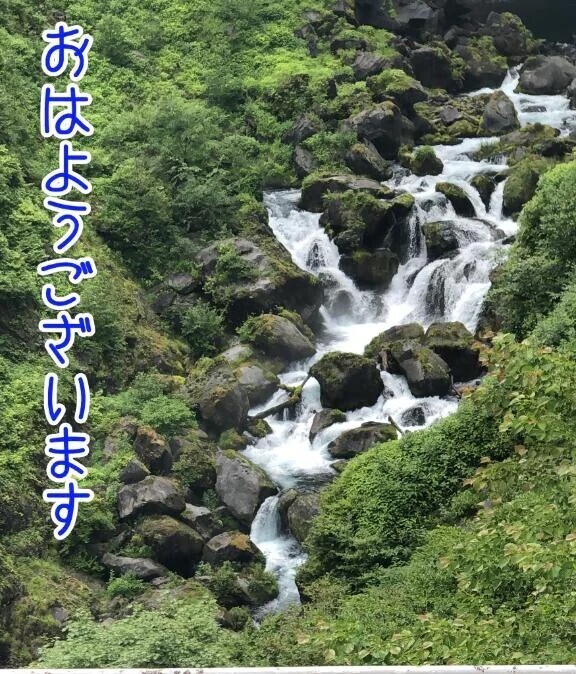 朝が来るのは早いですね