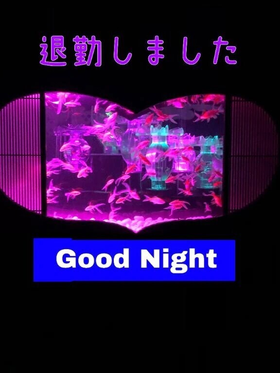 おやすみなさい🐑..💤