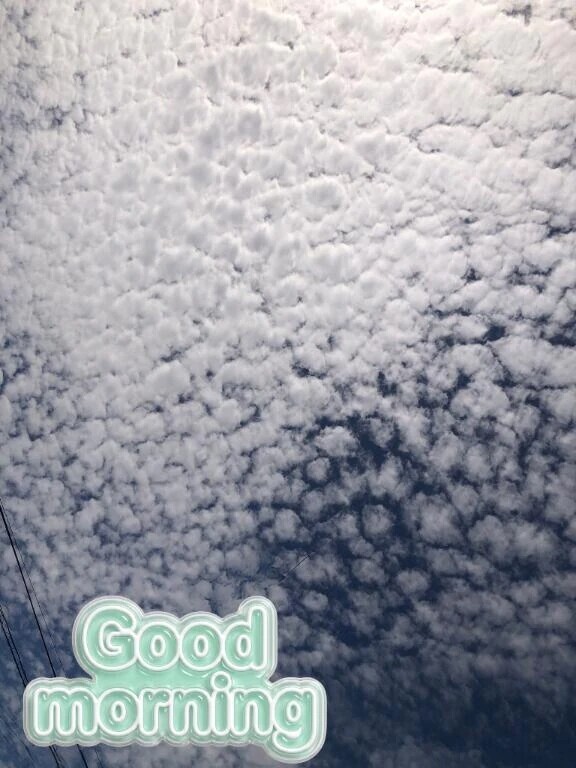 もう秋空ですね
