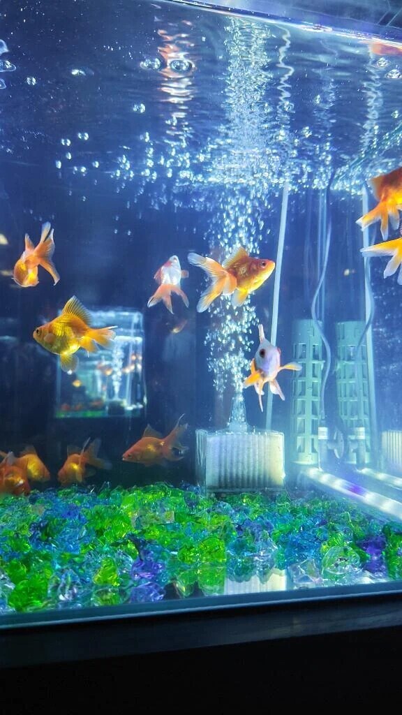 お知らせです🙂‍↕️