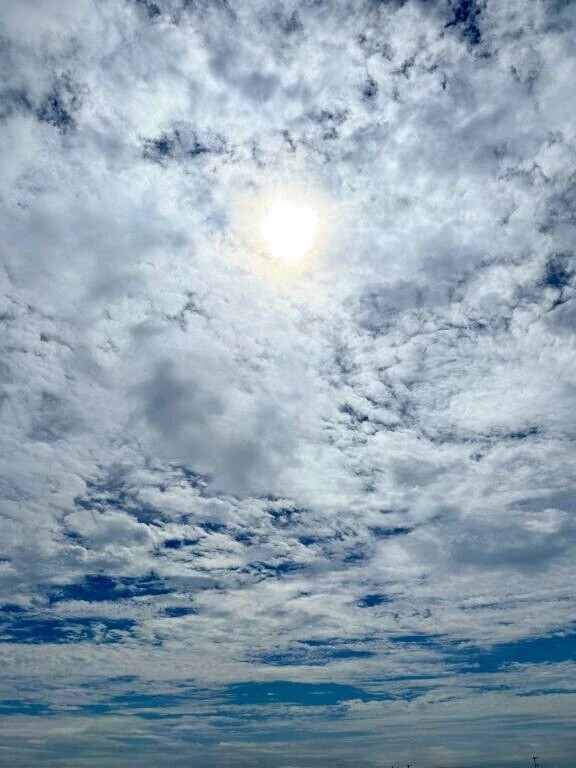 今週の出勤💗本日20時30分~