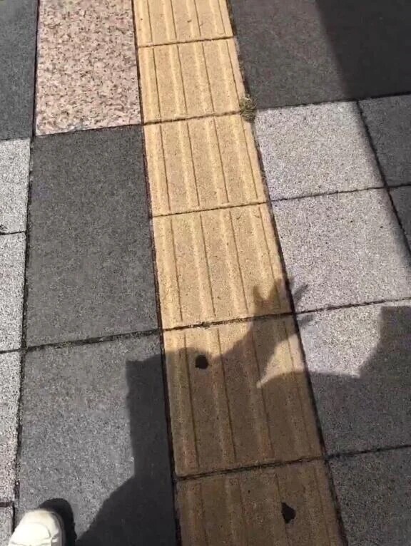 久しぶりに外出たよ！